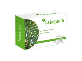 Calaguala