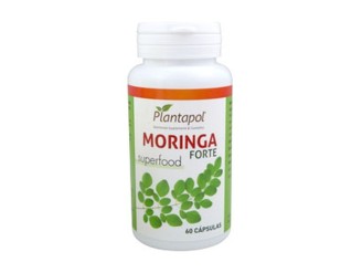 Moringa Forte 60cps - Nutrición y Antioxidantes | Plantapol