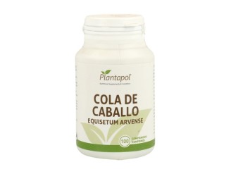 Cola de caballo