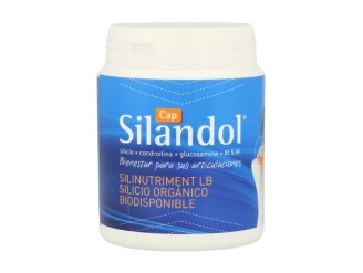 Silandol