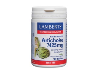 Alcachofa alta potencia lbisene