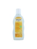 Champú Reparador con Avena