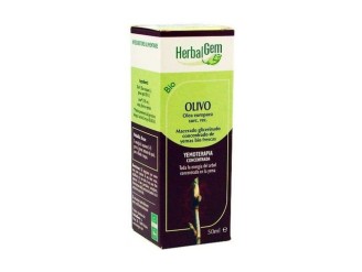 Olivo Macerado Glicerinado