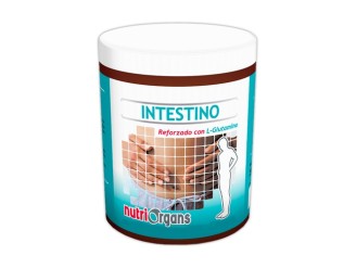 Intestino