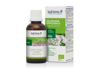 valeriane officinale