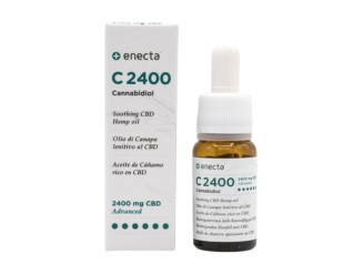 C2400 Aceite De Cáñamo Rico en CBD