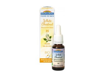Castaño Blanco Orgánico