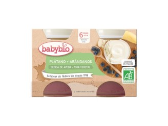 Yogurt avena, plátano y arándanos