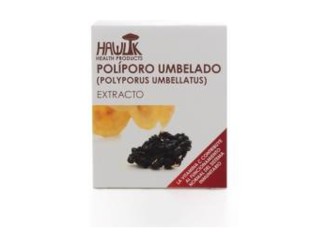 Poliporo Umbelado Puro 60vcap - Excelente Hongo Comestible Hawlik