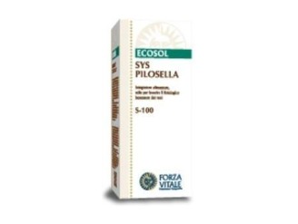 SYS Pilosella