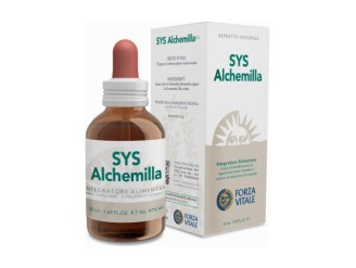 SYS Alchemilla