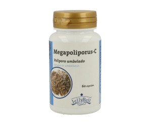 Megapoliporus-C
