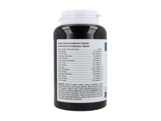 Enzym'up 120cap: Complejo Digestivo Efectivo - Therascience