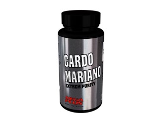 Cardo Mariano Extrem Purity