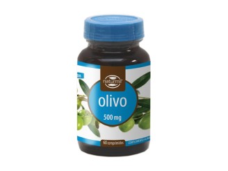 Olivo