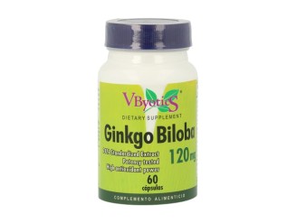 Ginkgo Biloba