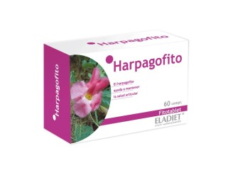 Harpagofito