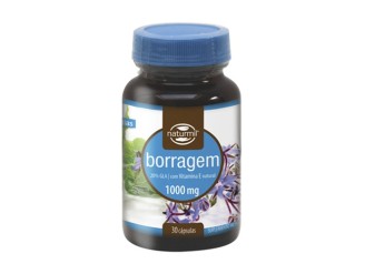 Borraja