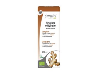 Extracto de jengibre Bio