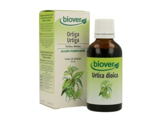 Urtica Diodica