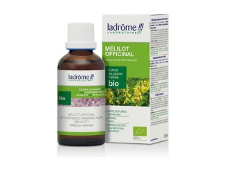 Mélilot Officinal