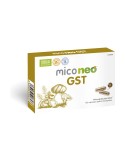 Mico Neo GST