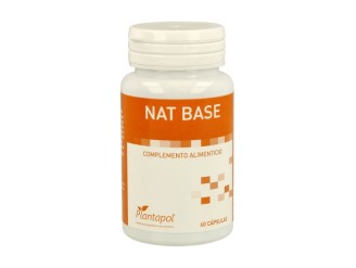 Nat Base