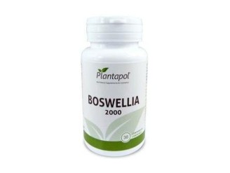 Boswellia 2000